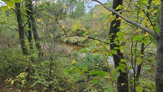 E  Copper Mine Rd, Gordon, WI 54838