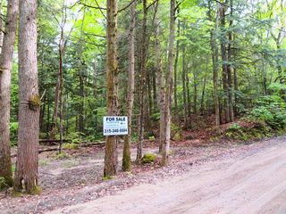680 Lily Lake Rd, Gloversville, NY 12078