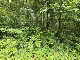133 Lower Brow Rd #133, Dunlap, TN 37327