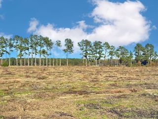 Mike Rogers Farm Rd #WP05C, Clio, SC 29525