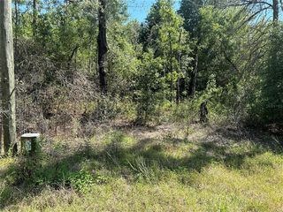 SW 95th Pl #11, Dunnellon, FL 34432