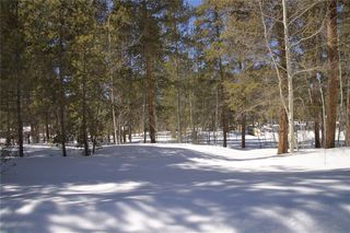 Central Colorado Mountain Land for sale through True West Properties and  Sports Afield Trophy Properties.