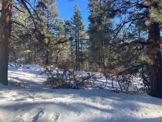 Cottontail Rd, Chama, NM 87520