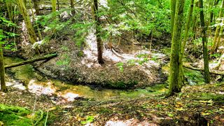 3rd St, Onekama, MI 49675