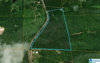Bluff Springs Rd #X, Ashland, AL 36251