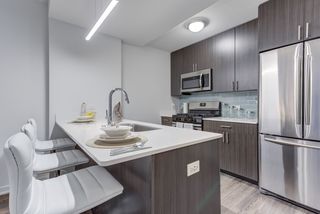 1325 N  Wells St #304, Chicago, IL 60610