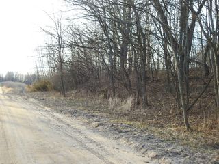 N  Wilson Rd, Mears, MI 49436