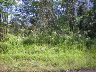 Road 10 Poouli #5653, Kurtistown, HI 96760
