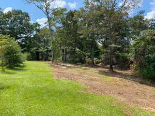 9.97 Leaf River Church Rd, Collins, MS 39428