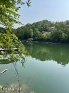 Address Not Disclosed, Caryville, TN 37714