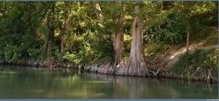 1331 Misty Ln LOT 38, Spring Branch, TX 78070