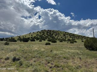 168 County Road 5201, Concho, AZ 85924