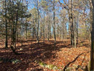 Address Not Disclosed, Lonoke, AR 72086