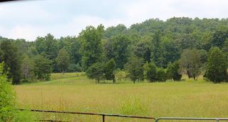 Laurel Bluff Rd, Kingston, TN 37763