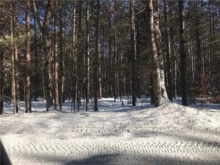 Lot 5 Partridgeville Rd #5, Brantingham, NY 13312