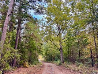 County Road 2367, Marietta, TX 75566