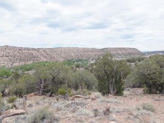 141 Tbd Hwy, Naturita, CO 81422