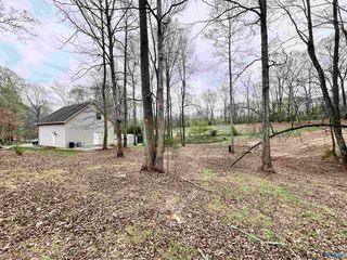 803 Charley Patterson Rd, New Market, AL 35761