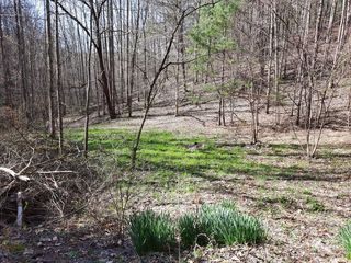 Bull Mountain Rd, Del Rio, TN 37727