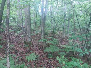 Xxx Sheffield, Roscommon, MI 48653