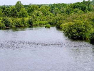 Tbd Pond Rd, Iron River, MI 49935