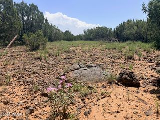 8831 Supancheck Rd, Show Low, AZ 85901
