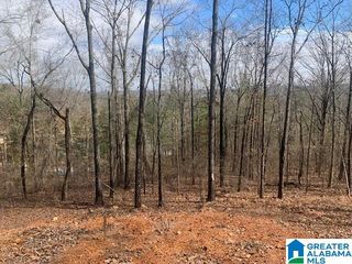 525 Anderson Mountain Dr   #&-7, Odenville, AL 35120