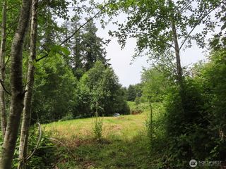 0 XXX Coleman Road, Mossyrock, WA 98564