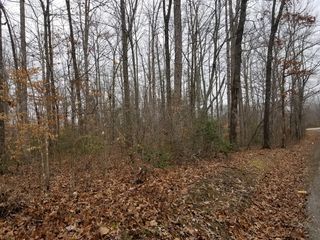 Ditney Trl, Pioneer, TN 37847