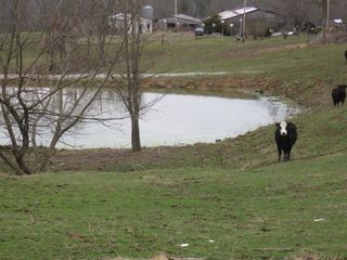 Old Wright Rd, Clarkrange, TN 38553