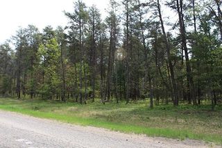 Jones Lake Rd, Grayling, MI 49738