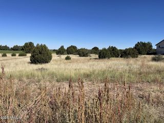 1951 CREEKSIDE Circle #77, Show Low, AZ 85901