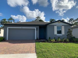 323 Sarah Nicole Way, New Smyrna Beach, FL 32168