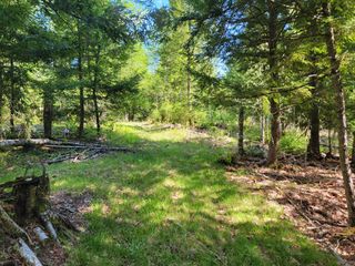 67 Bog Brook Road, South China, ME 04358