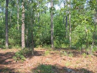 423 Istria Way SE, Bolivia, NC 28422