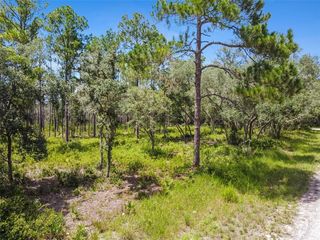 Softstone Dr #2, Webster, FL 33597