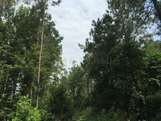 0 Off Sr 1152 Road, Pink Hill, NC 28572