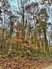 Township Road 13, Killbuck, OH 44637