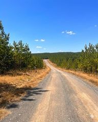 68 Southern Spruce Trl #232, Broken Bow, OK 74728