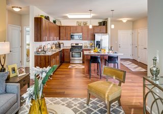 Shelton Apts For Rent