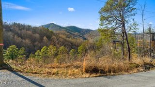 Sugar Maple Loop Rd #1, Sevierville, TN 37862