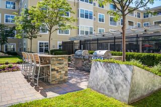 pet friendly apartments for rent in chelsea ma 14 rentals trulia