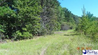 2 Chilling Pond Subdivison Tract, Darlington, SC 29532