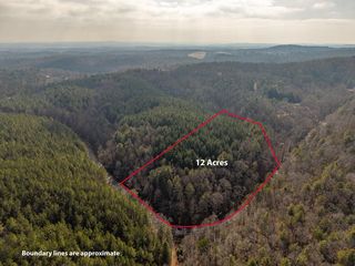 Pleasant Gap Rd, Ellijay, GA 30540
