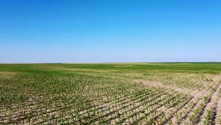 Road G, Syracuse, KS 67878