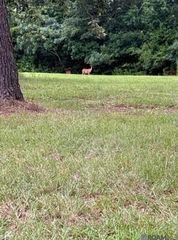 22 Tbd La Hwy, Springfield, LA 70462