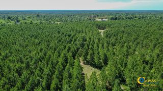 Montgomery Rd, Mauk, GA 31058