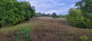 Meadow Rd, Greenback, TN 37742