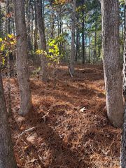 1121 Horton Rd, Wadesboro, NC 28170