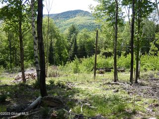 L40 Barney Hill Road, Johnsburg, NY 12843